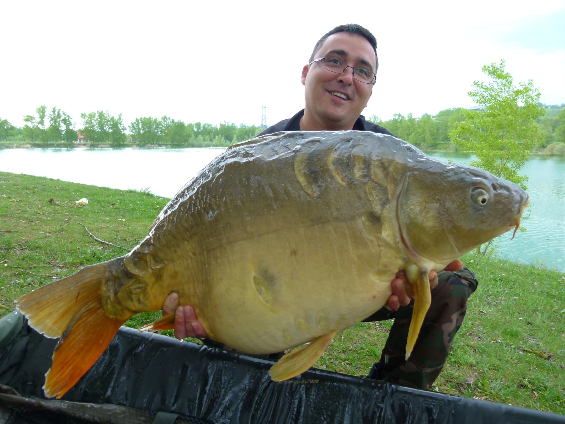 THE BIGS OF 2012 - p1000017.JPG